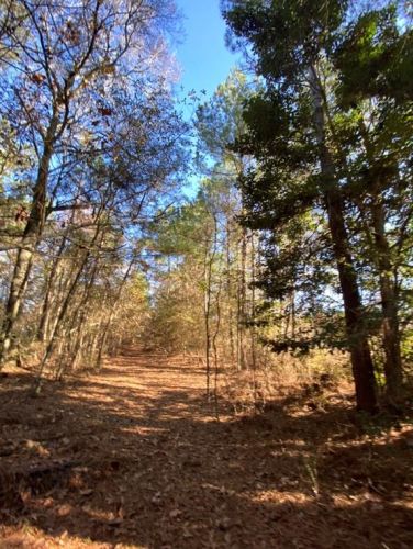 17258 Old Highway 105, Conroe TX  77306-6106 exterior