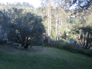 7042 Westmoorland Dr, Berkeley, CA 94705-1755