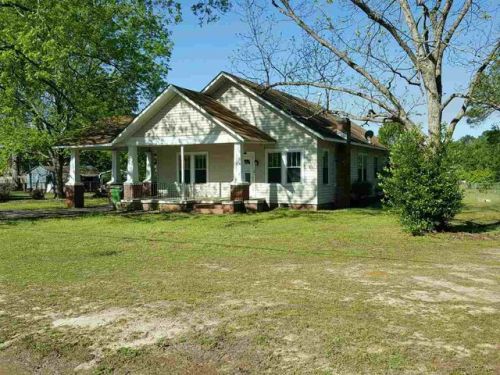 34 Mitchell St, Klondike, GA 31036-4709
