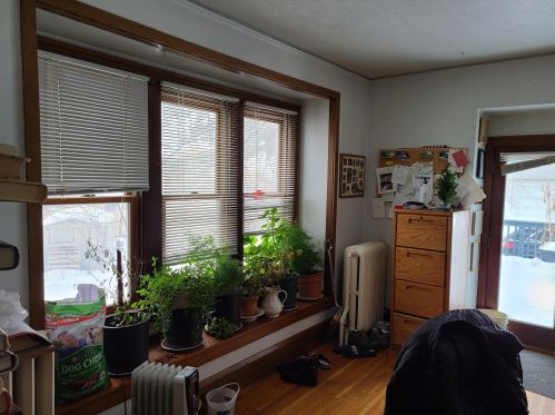 1827 Dl Ct, Saint Paul MN 55126-6004 exterior