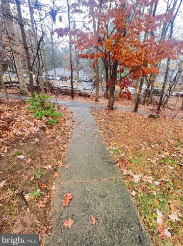 10230 Roberts Common Ln, Springfield VA  22015-2803 exterior