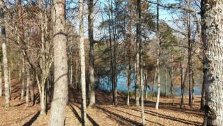240 Hughes Rd, Greenback, TN 37742-2597