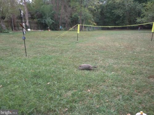 13908 Gate Dr, Silver Spring MD 20906-2208 exterior