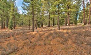11735 Kelley Dr, Truckee, CA 96161-2932