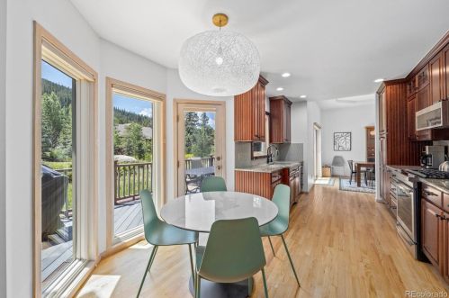 21 Saw Whiskers Cir, Montezuma CO  80435-7903 exterior