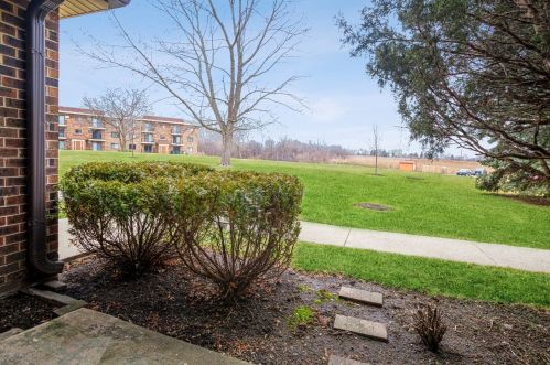 961 Rohlwing Rd, Addison IL  60101-6139 exterior