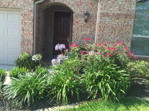 16722 Aliana Lakes Ct, Richmond TX  77407-2732 exterior