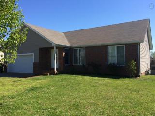 704 Red Hollow Dr, Springfield, TN 37172-5169