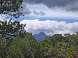 405 Pine Dr, Ridgway, CO 81432-9415
