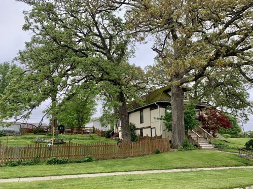 320 1st St, Spring Valley, IL 61362-1509