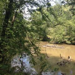 1041 Riverwalk Pt, Bishop, GA 30621-1853