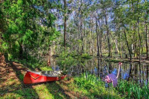6103 Hazelhurst Ln, Ravenel, SC 29470-5247