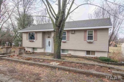 104 Dutchland Estate Rd, Havana, IL 62644-6967