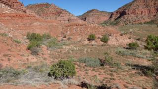 591 Rainmaker Rd, Kanab, UT 84741-3373