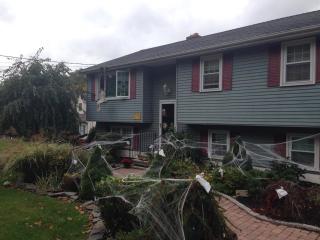 1147 Curtis St, Wallingford CT  06492-1716 exterior