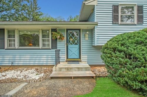 3 Deer Run Dr, Bridgewater, NJ 08807-1508