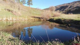 904 Pine Spring Dr, Vallecito, CO 81122-8757