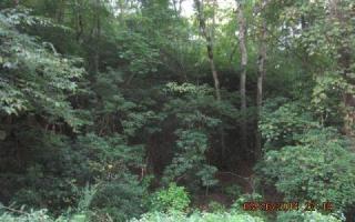 604 Nugget Ln, Ellijay, GA 30540-0052