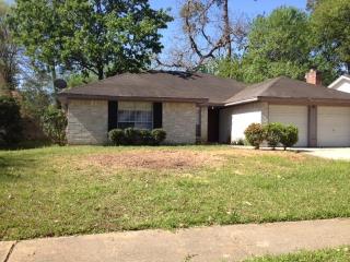 25315 Mill Pond Ln, Spring TX  77373-6037 exterior