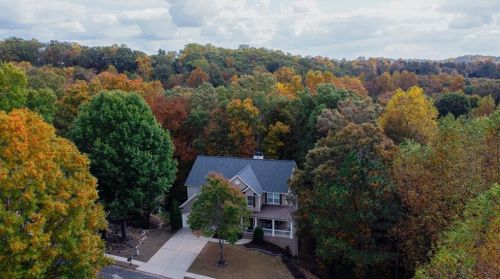 1033 Alexander Run Pass, Buford GA  30518-5560 exterior