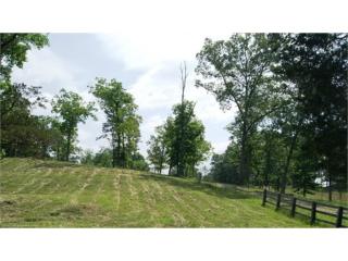 425 Russell Hill Rd, Speedwell, TN 37870-7161