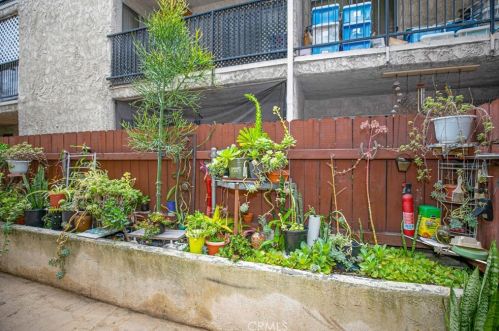 330 Burchett St, Glendale CA  91203-1358 exterior