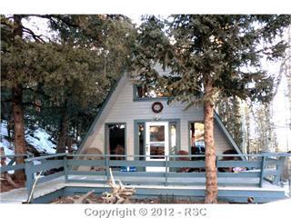 101 Willow Rd, Divide, CO 80814-8912