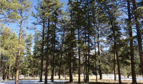 1671 County Rd 102, Guffey, CO 80820-9300