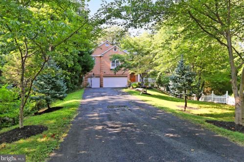 7203 Calamo St, Springfield, VA 22150-3524