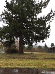 22506 Cedarview Dr, Sumner, WA 98391-7531