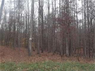 255 Trilium Trl, Pendergrass, GA 30567-3491