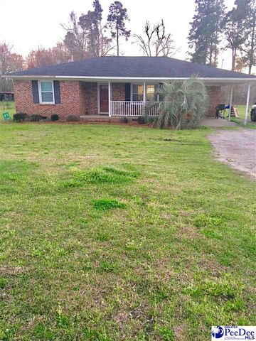 4641 Cade Rd, Cades, SC 29518-3038