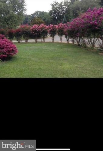 7635 Dunston St, Springfield VA  22151-2611 exterior