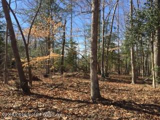 117 Birkdale, Williamsburg, VA 23188