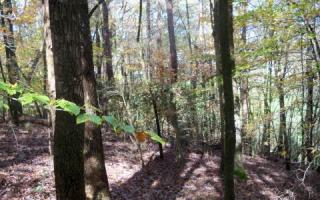 4 Jeff Dr, Ellijay, GA 30540-3757