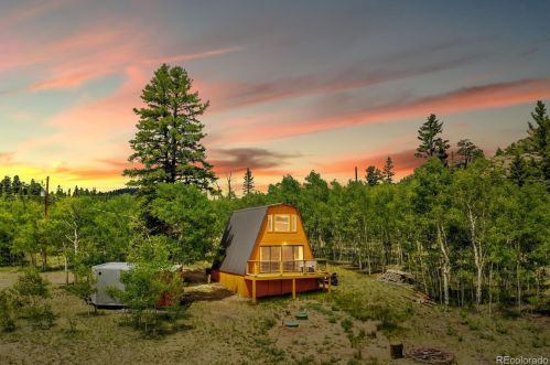 298 Outlaw Ct, Fairplay CO  80456-9762 exterior