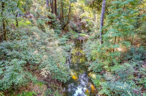 21 Brimblecom Rd, Big Basin CA  95006-9687 exterior