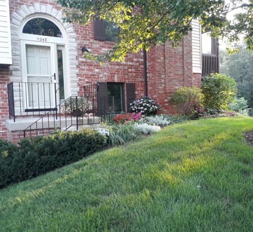 11248 Cameron Pkwy, Orland Park, IL 60467-7539