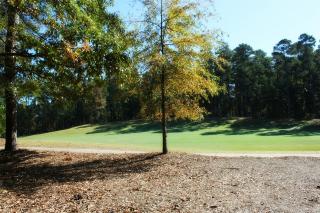 1070 Hixons Blf, Reynolds Plantation, GA 30642-5200