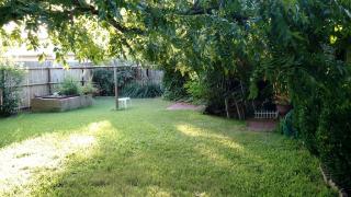 625 5th St, Albany, TX 76430-2919