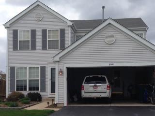 3101 Arborsedge Dr, Joliet IL  60436-9707 exterior