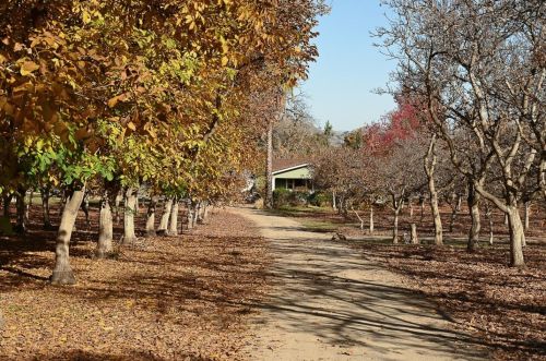 3385 Hecker Pass Rd, Gilroy, CA 95020-8804