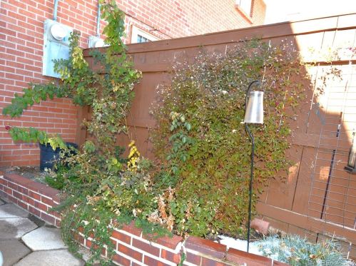 9029 Nassau Ave, Denver CO  80237-1916 exterior