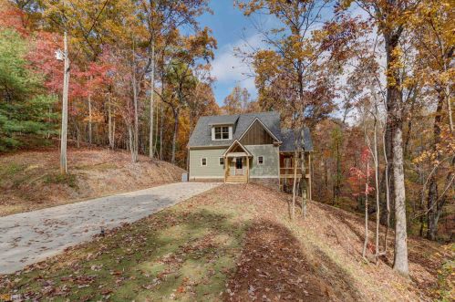 110 Crabapple Ct, Ellijay, GA 30540-2137
