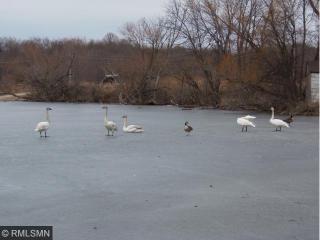 9201 Arnold Ave, Monticello, MN 55362-3330