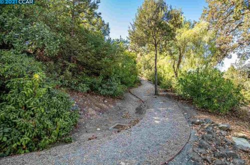 1420 Bel Air Dr, Concord CA  94521-5331 exterior