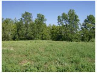 611 Augustana Ln, Albany, MN 56307-4520