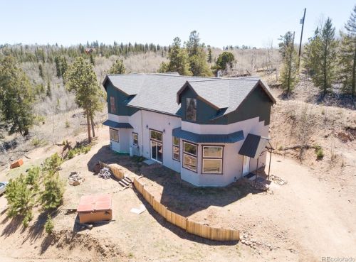 6745 Remington Rd, Fairplay, CO 80456