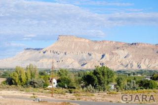 3685 E Rd, Palisade, CO 81526-9591