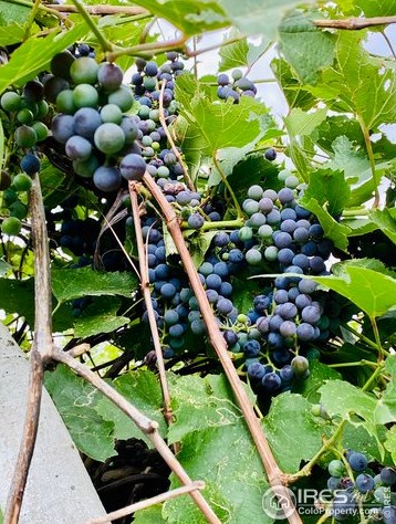 840 Taft Hill Rd, Fort Collins CO  80521-1323 exterior